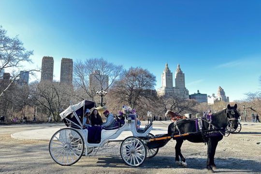 Private Horse and Carriage Tours in Central Park