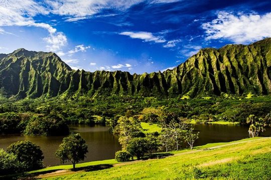 Oahu East Coast to Mountain Slingshot Tour